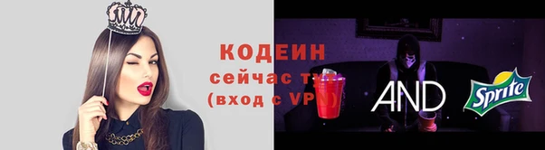 индика Галич