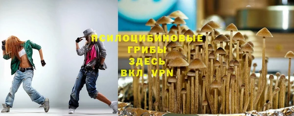 гидропоника Медногорск