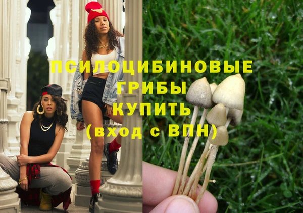гидропоника Медногорск